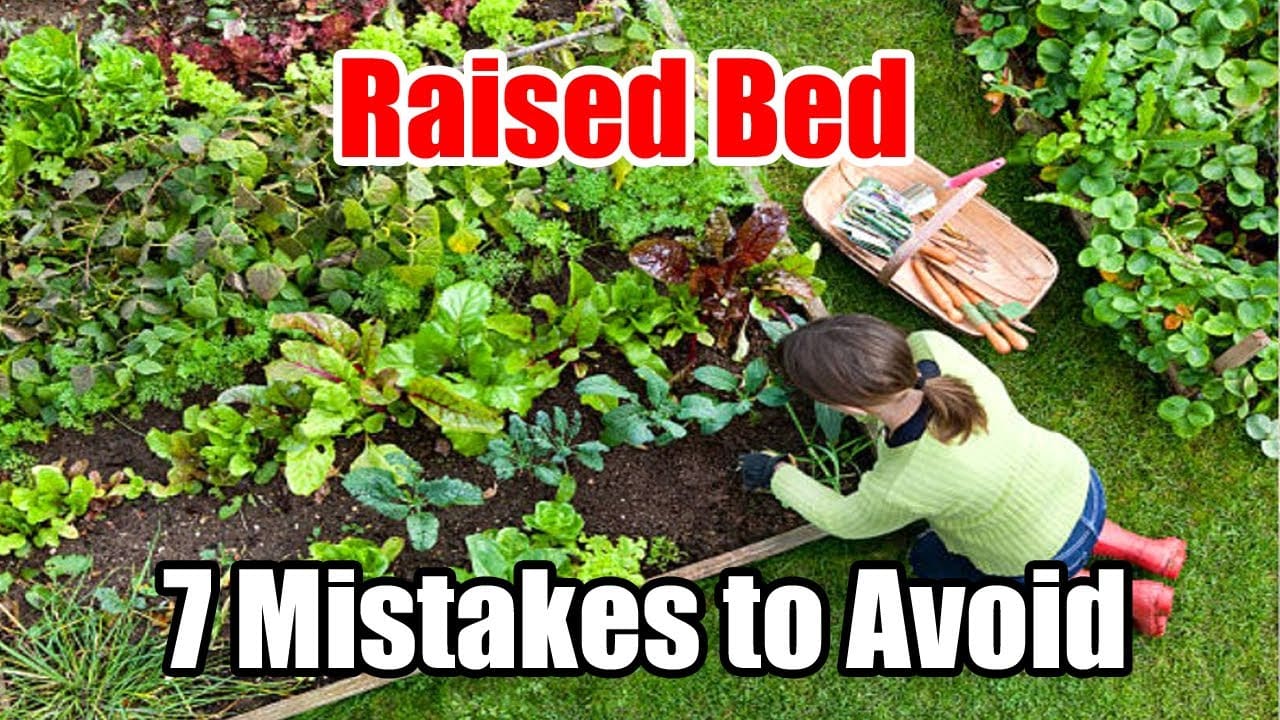 7 Beginner Raised Bed Garden Mistakes to Avoid
