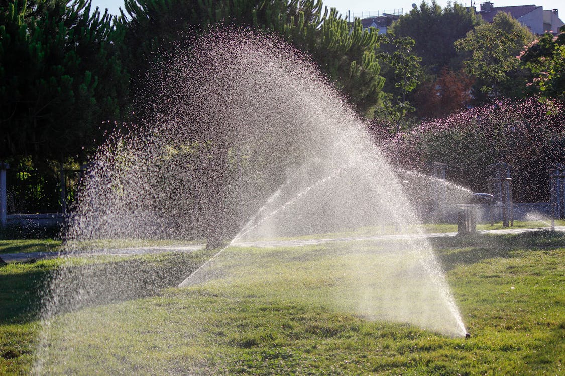 LawnShare helps create vibrant, biodiverse havens