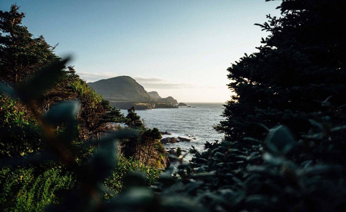 Rest and restore by spending time in nature