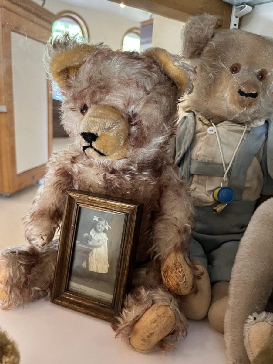 Teddy Bears Take the Collingwood Museum!