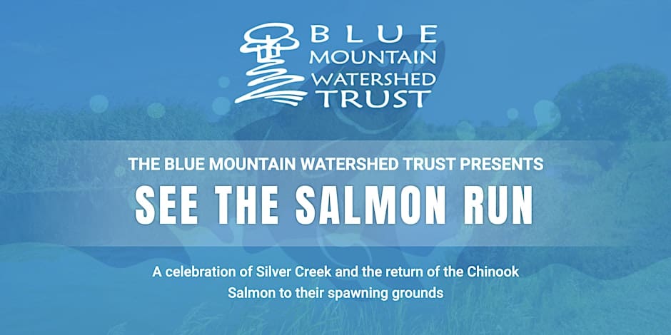 Seventh Annual See The Salmon Run