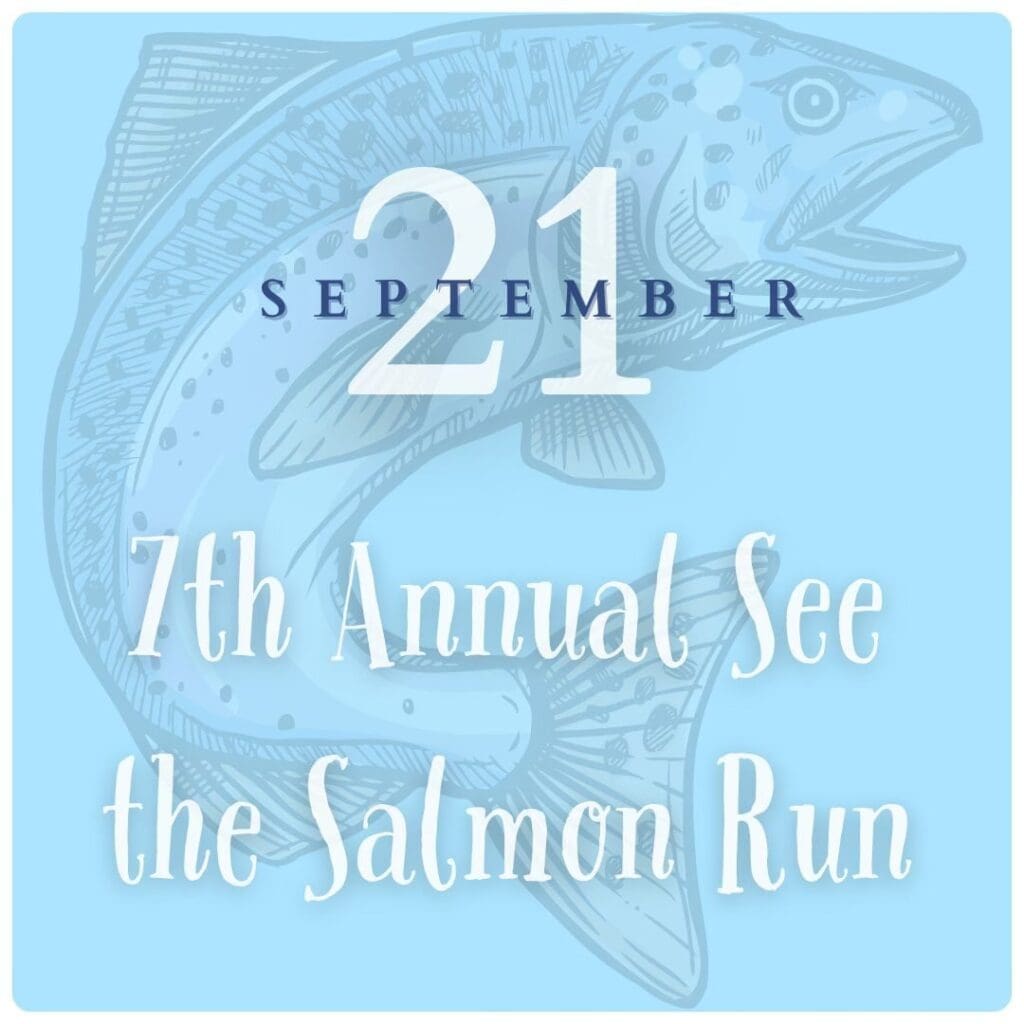 Seventh-Annual-See-the-Salmon-Run