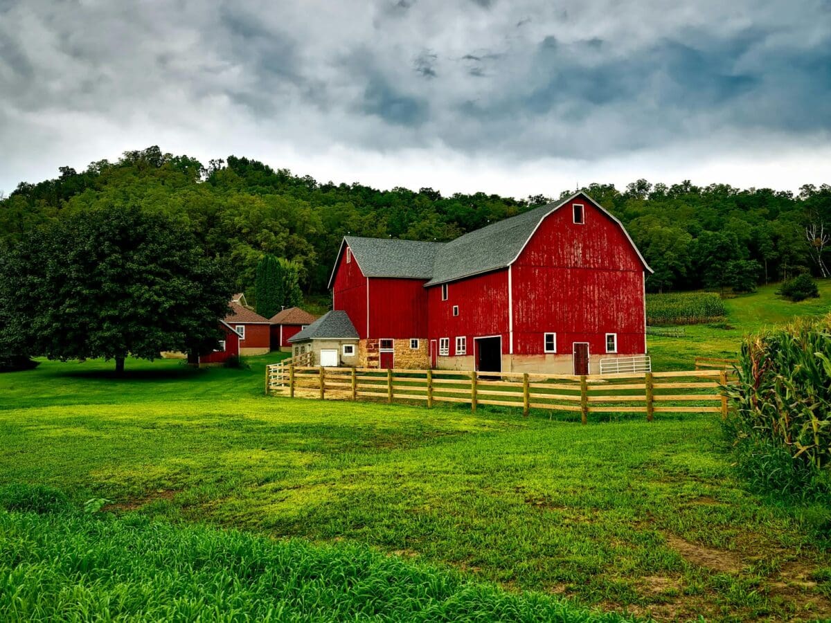 Open Fields Farm Tour Returns October 5 | The Town of The Blue Mountains