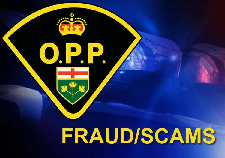 OPP SEEKING PUBLIC’S ASSISTANCE IN RELATION TO A THEFT IN THE TOWN OF WASAGA BEACH