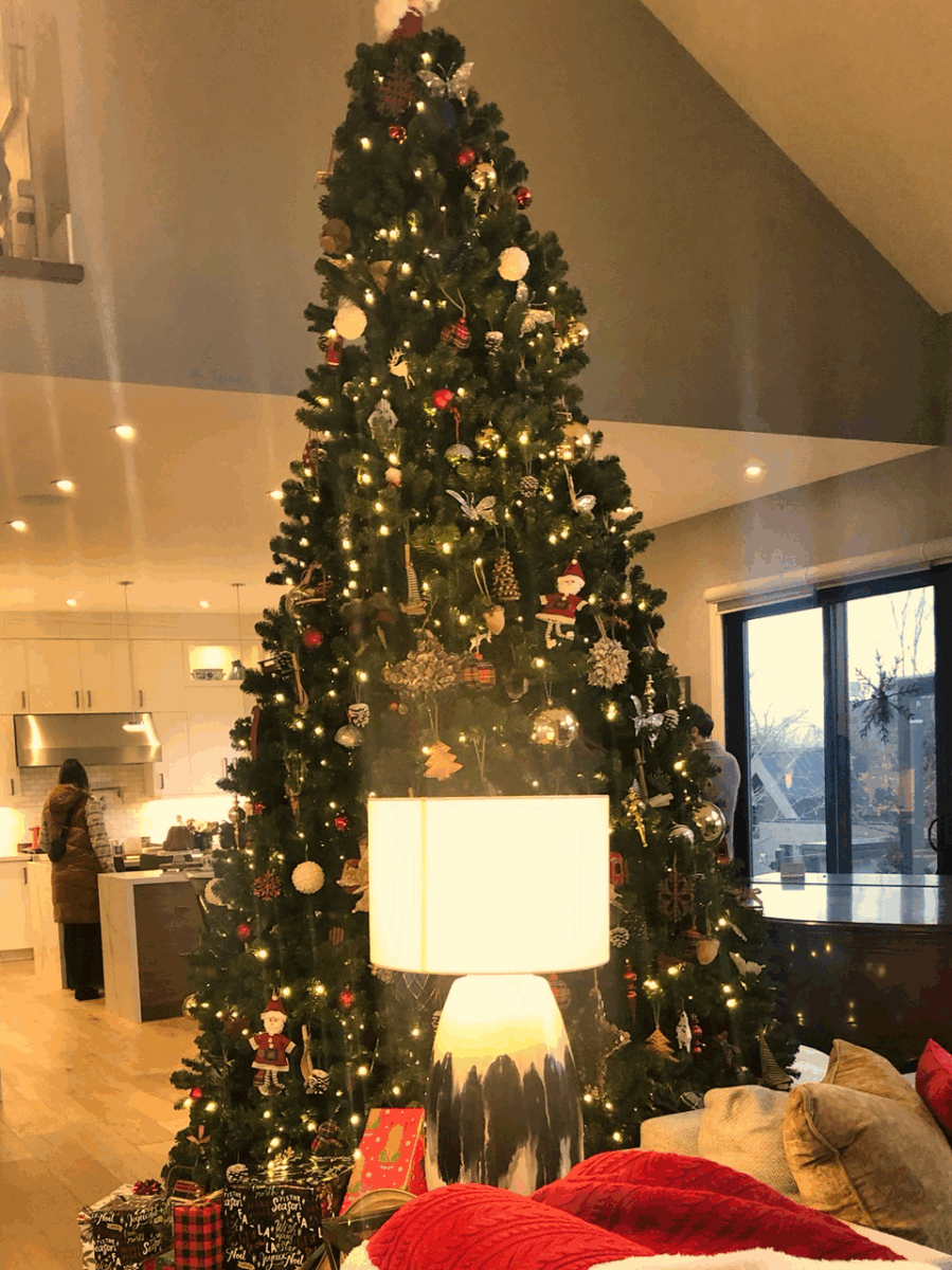 Susanne Mikler | It’s the Season to be Jolly!