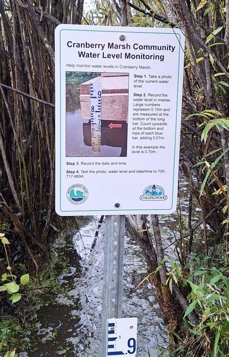 Help discover how water levels are changing in Cranberry Marsh