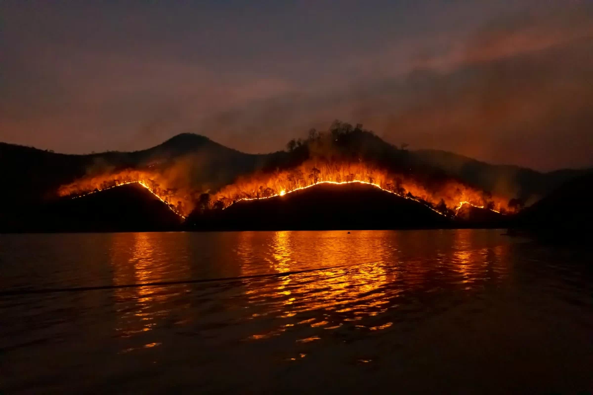 Holy Moley shares: Los Angeles wildfires illustrate climate “whiplash” effect