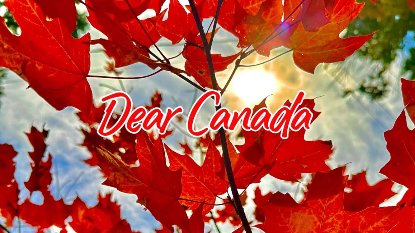 Dear Canada… 🇨🇦