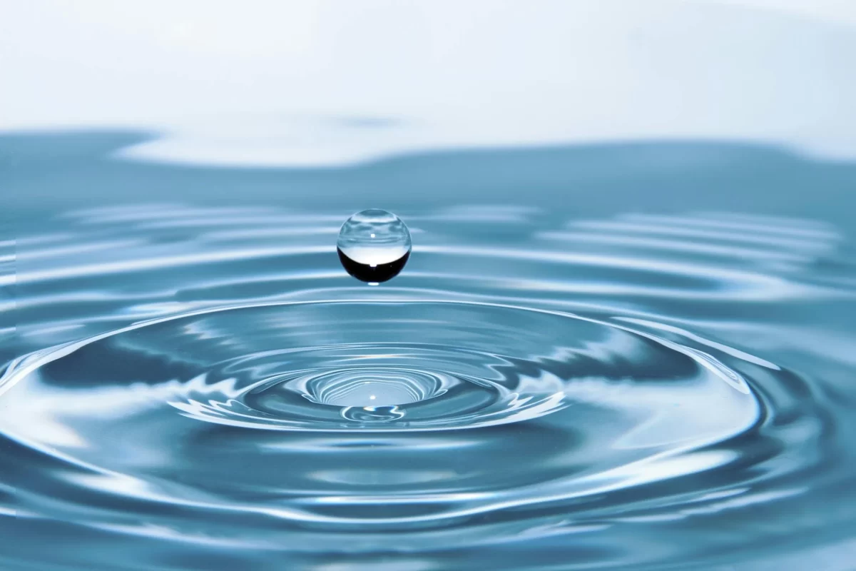 An Introduction to Buddhist Meditation with Gen Suma | Collingwood Library
