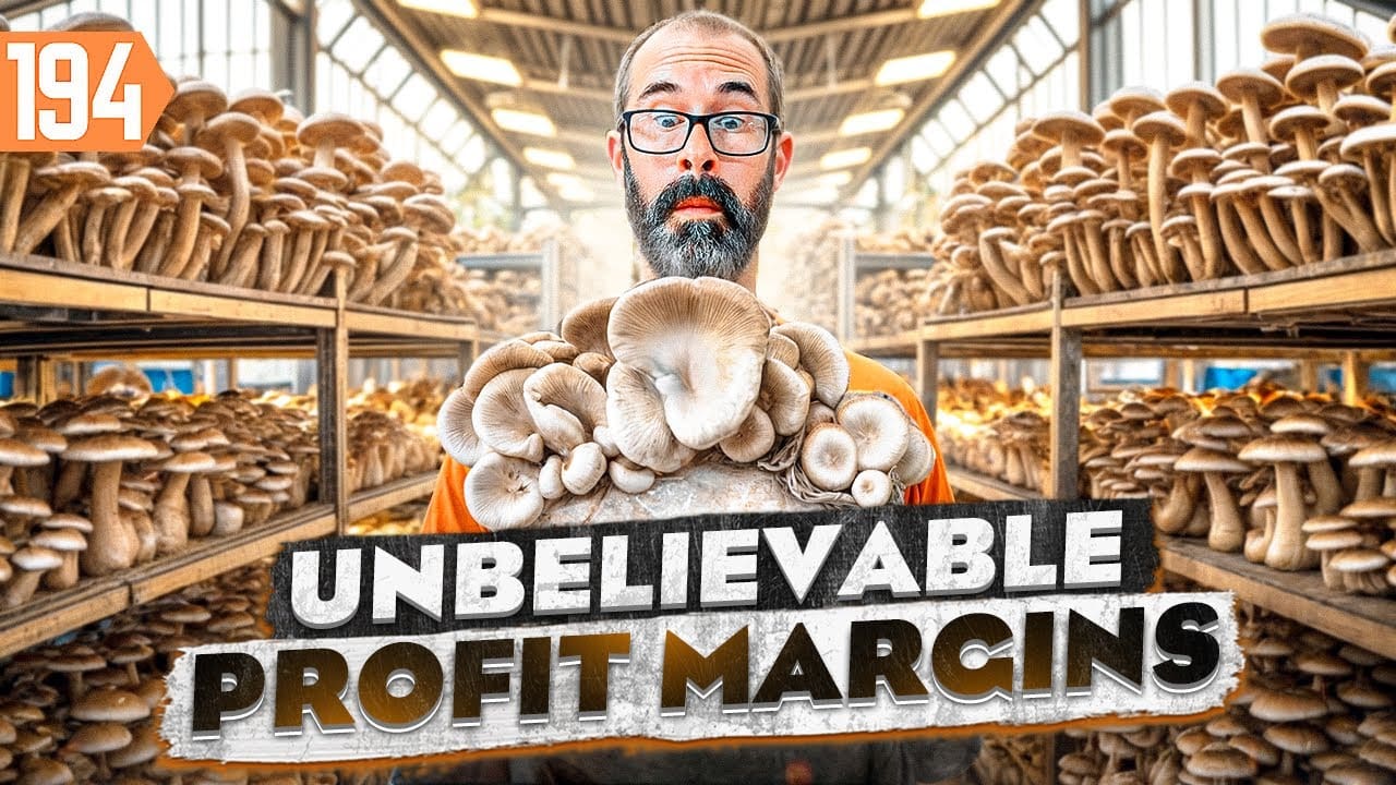 Sundown Hazen had zero farming experience in starting a successful mushroom farm?