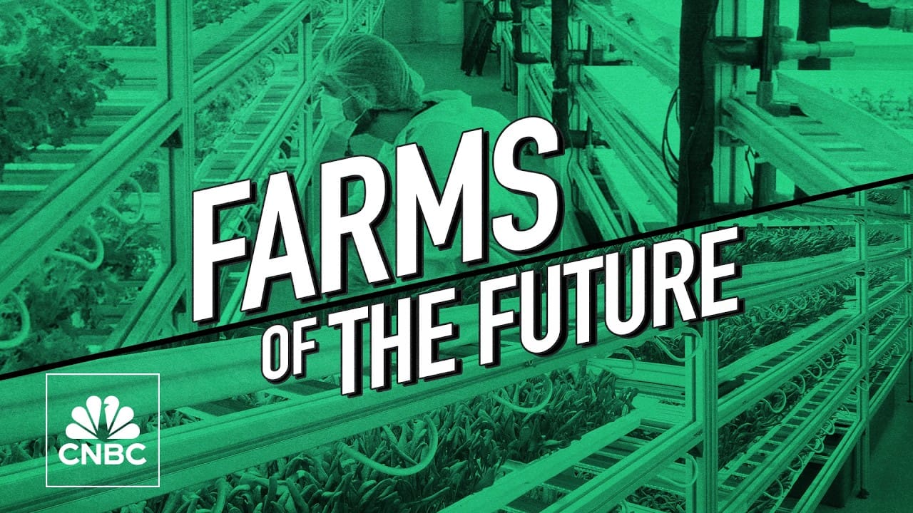 Ally Vitally shares How Singapore is using tech to grow food without farmland