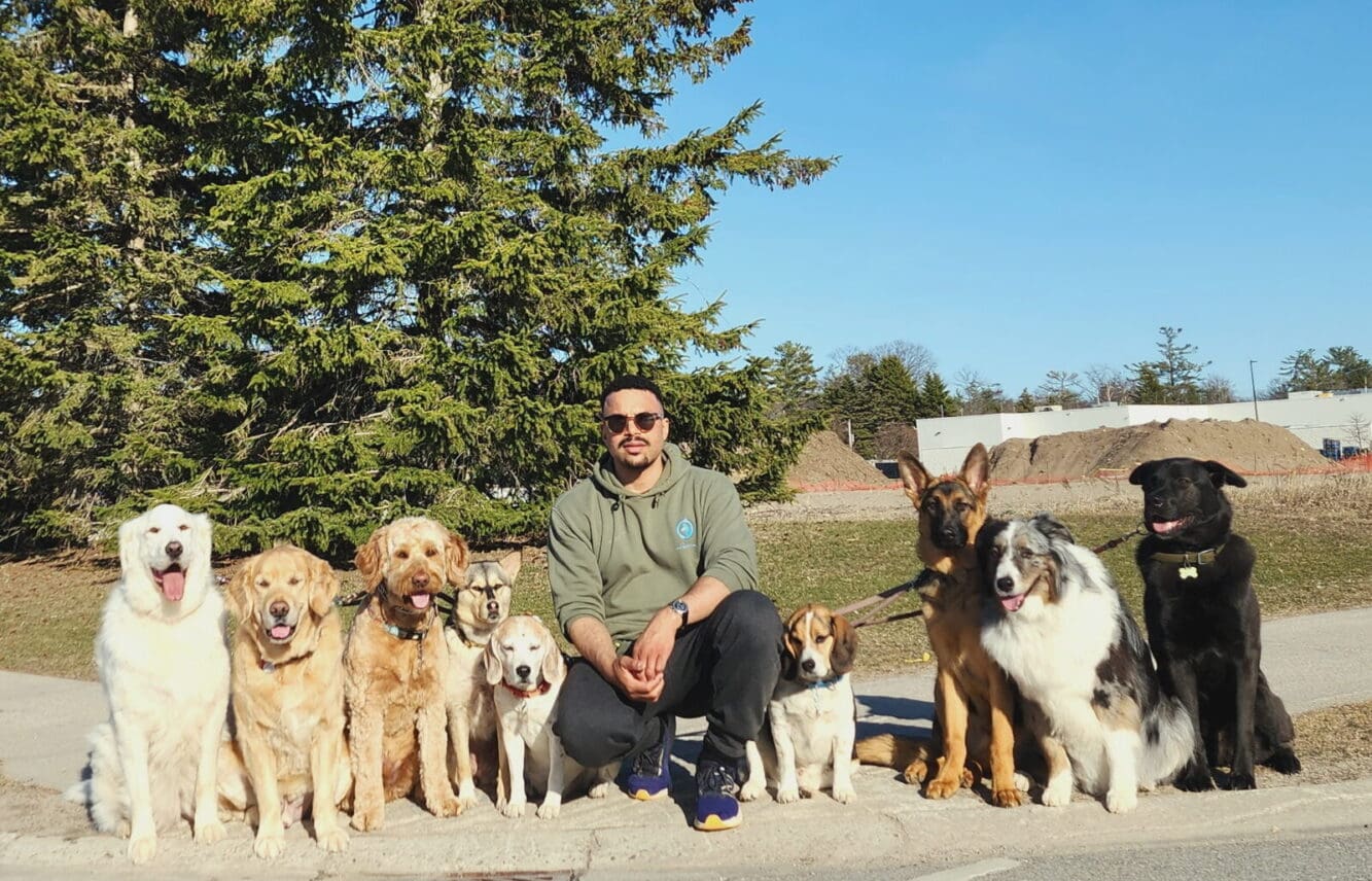 Frankie Malloy introduces Dedicated Dog Walking | A Regional Favourite