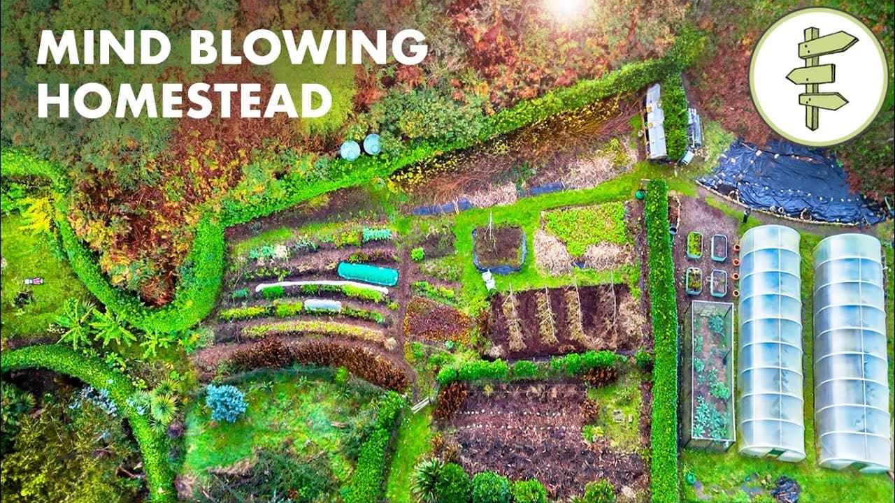 Self-Reliant Couple Growing 80% of Their Food on an Incredible Off-Grid Homestead!