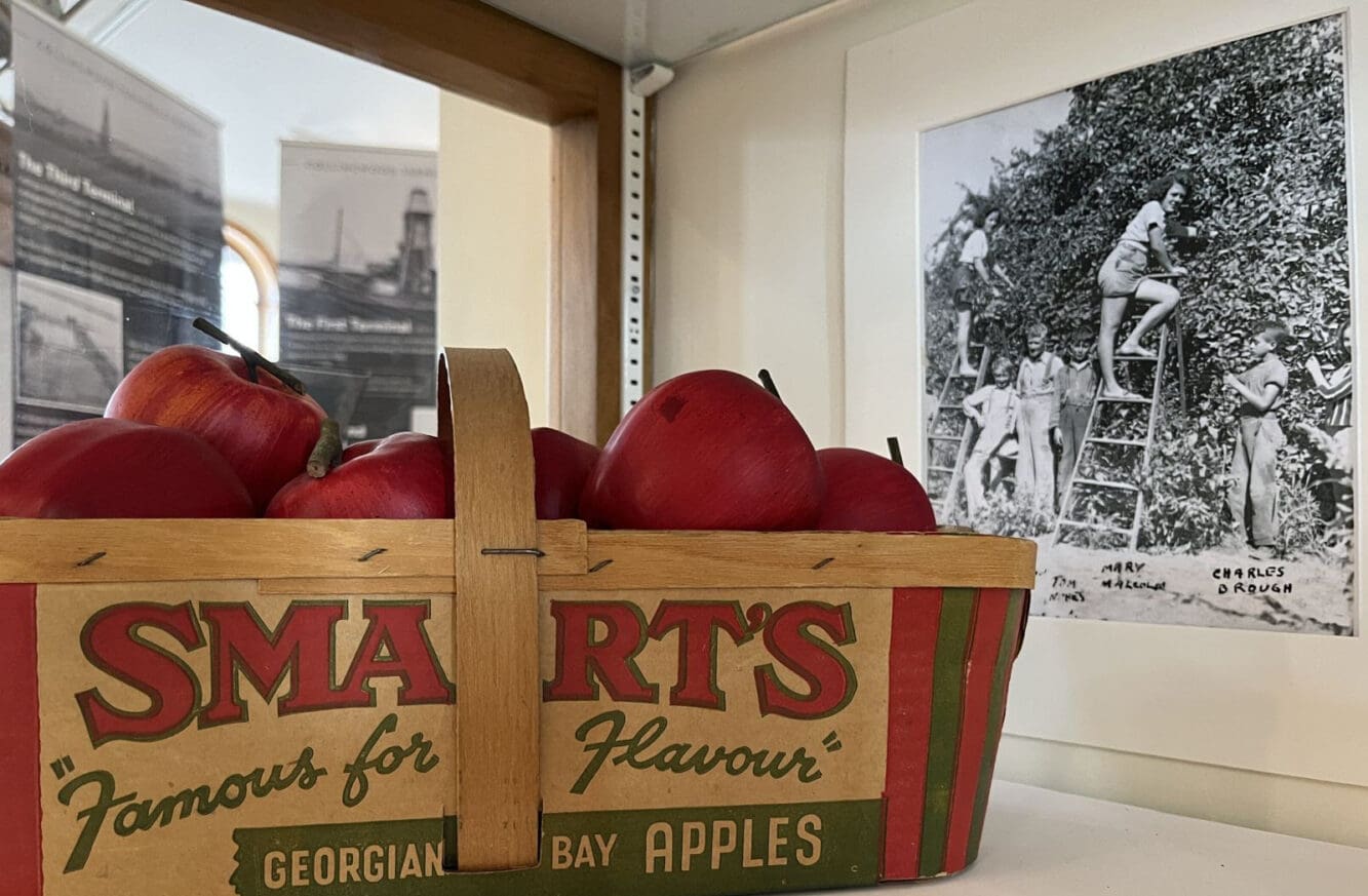 Growing Roots: The Legacy of Smart Bros. Ltd. in Collingwood, 1890-1970 | Collingwood Museum’s New Exhibit