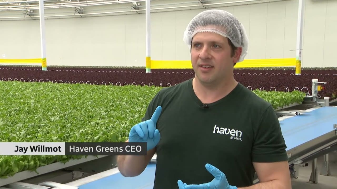 Canada’s First Fully Automated Greenhouse Will Blow Your Mind – Welcome to Haven Greens