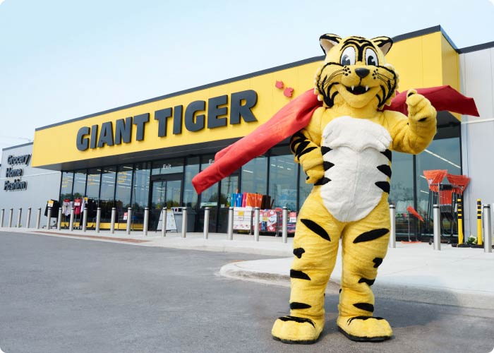 The Enduring Roar: The History of Canadian Retail Giant, Giant Tiger