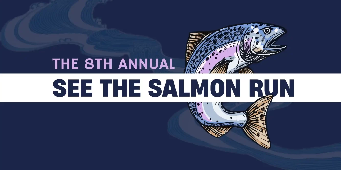 The Blue Mountain Watershed Trust Presents “See the Salmon Run” | Saturday, September 27th, 10:30 – 3:30