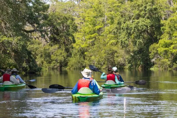 Join us at the Nature Corridor Summit 2025 | October 24th | For Nature. For People. For Good.