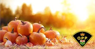 MAKE SAFETY YOUR TRADITION THIS THANKSGIVING