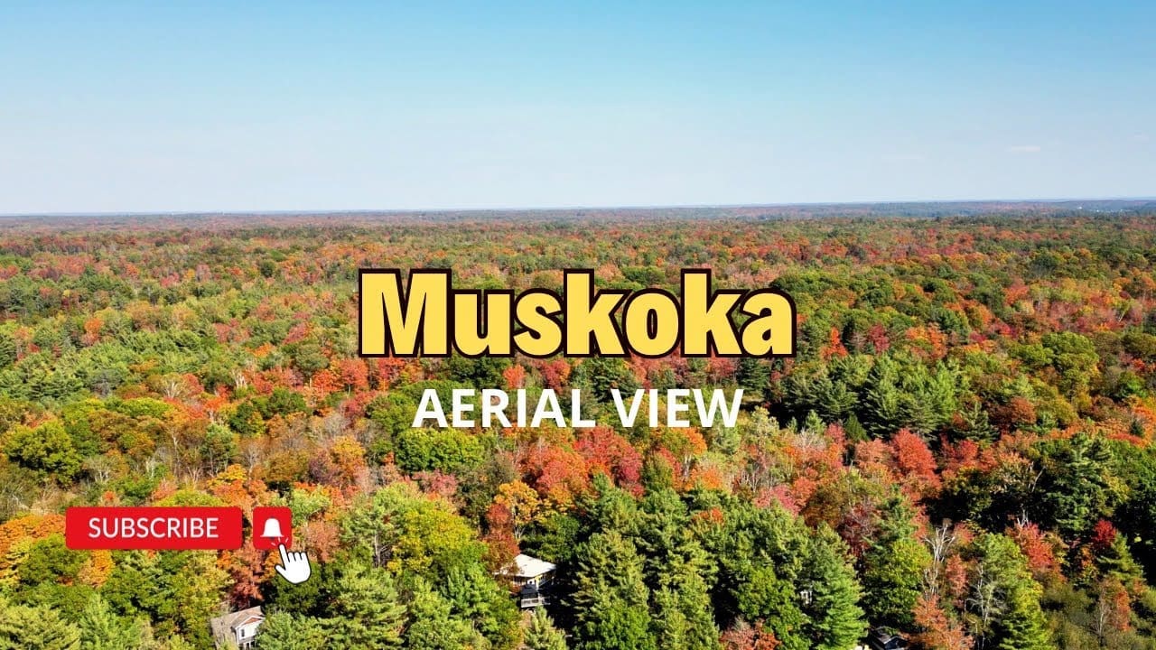 Aerial View of Fall Colours in Muskoka