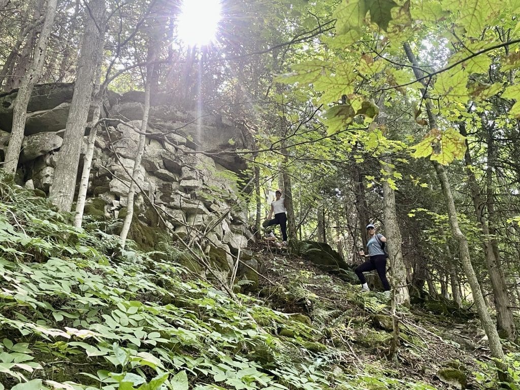 GOOD NEWS: ECA becomes land trust and secures first property to be Preserved Forever