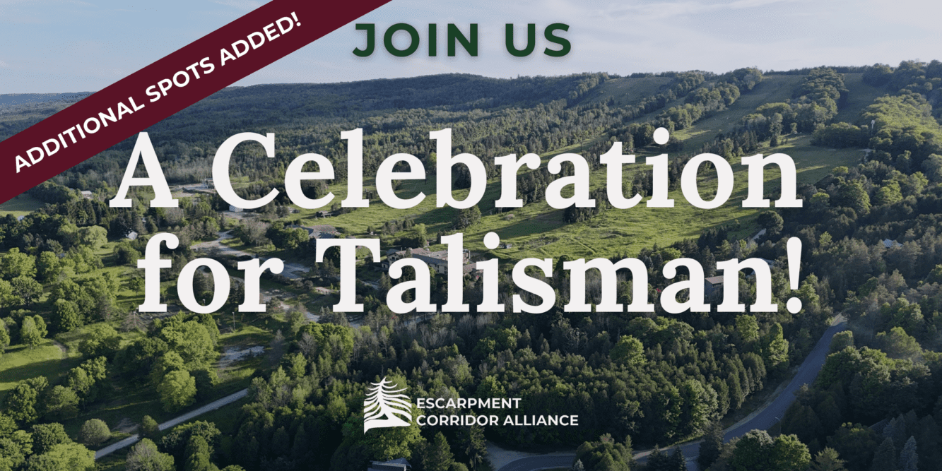 Second Celebration Event Added for Talisman!