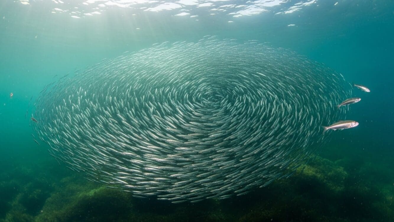 The power of awe: How nature can transform our perspective