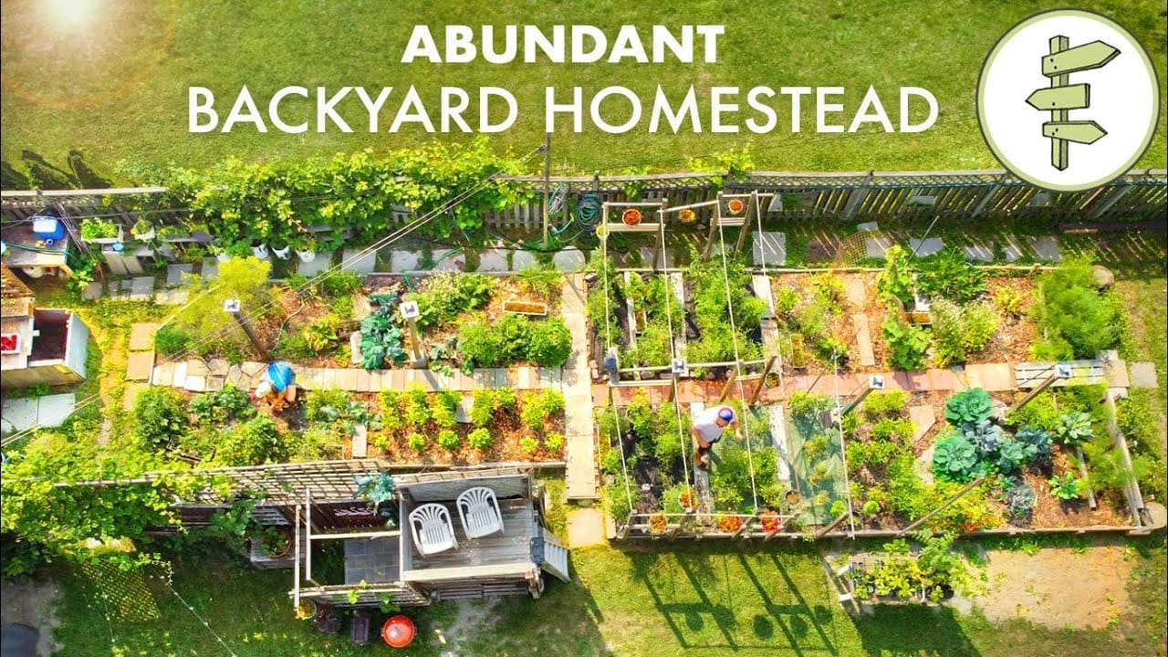 Couple’s Amazing Backyard Homestead Produces TONS of Food in the City + FULL GARDEN TOUR