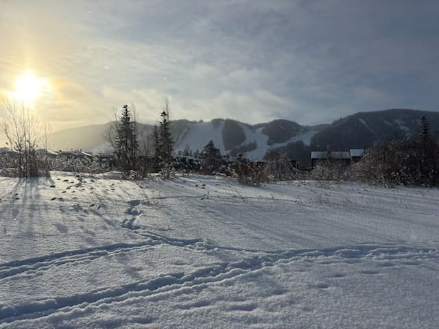 Escarpment Corridor Alliance February News   #moregoodnews