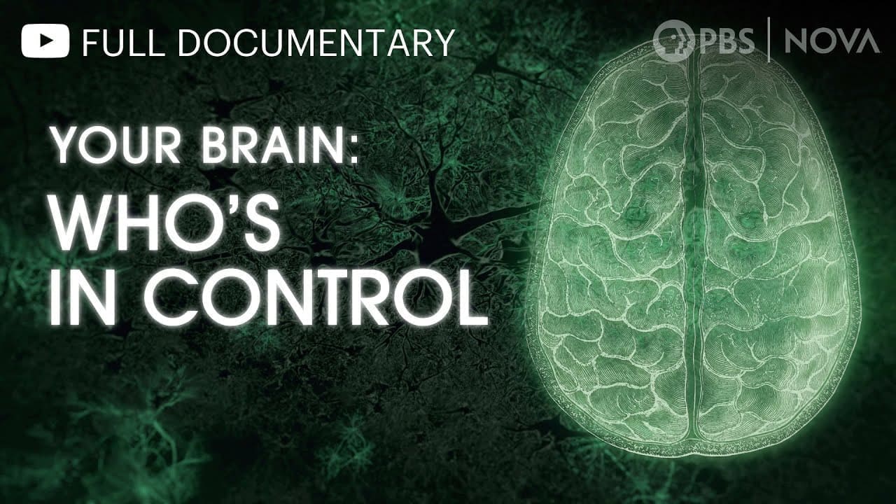 Your Brain: Who’s in Control? | Full Documentary | NOVA | PBS