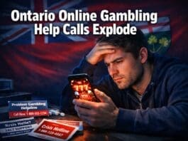 georgian-bay-news-com-image