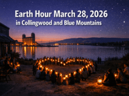 Earth Hour in Collingwood, The Blue Mountains and Region: Community Participation Ideas, Eco-Friendly Alternatives 🌍✨ earth-hour-2026