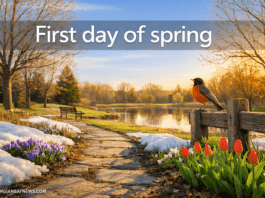 Let’s Celebrate the First and Second Day of Spring 🌱 first-day-of-spring