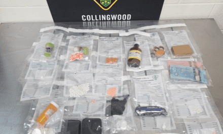 COLLINGWOOD | SUSPICIOUS PERSON CALL LEADS TO CRIMINAL CHARGES