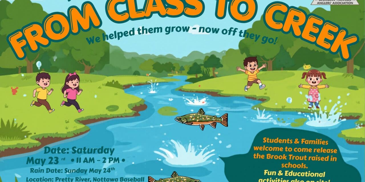 From Class To Creek – First Ever Trout Release – May 23rd | Georgian Triangle Anglers Association