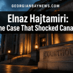 Plea Deal Announced: On Monday, Mohamad Lilo Pleaded Guilty to Conspiracy to Kidnap Elnaz Hajtamiri