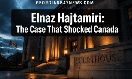 Plea Deal Announced: On Monday, Mohamad Lilo Pleaded Guilty to Conspiracy to Kidnap Elnaz Hajtamiri