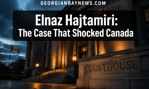 Plea Deal Announced: On Monday, Mohamad Lilo Pleaded Guilty to Conspiracy to Kidnap Elnaz Hajtamiri